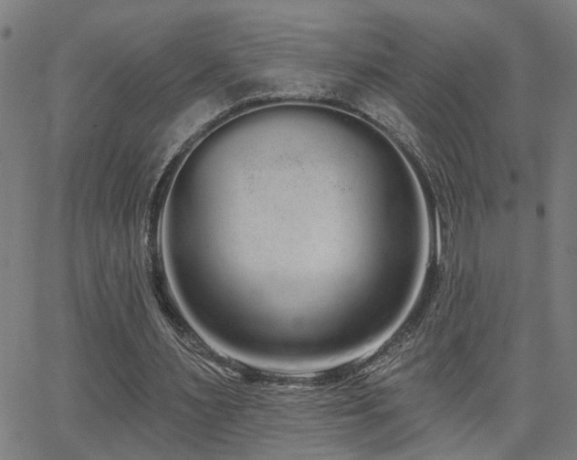 X0000062860483200601131419