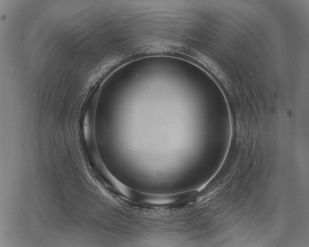 X0000062860485200601131419