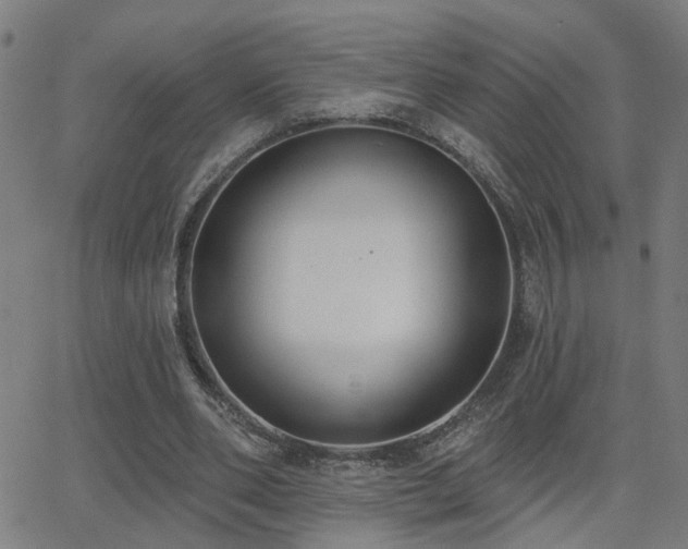 X0000062860486200601131419