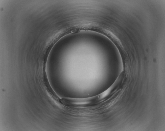 X0000062860493200601131419