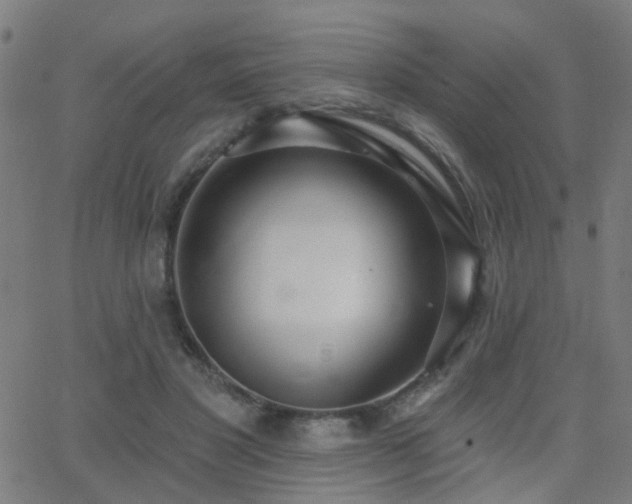 X0000062860501200601131419