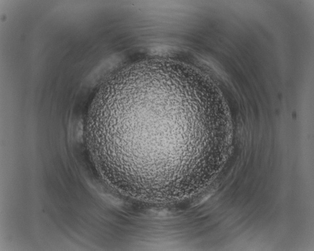 X0000062860502200601131419