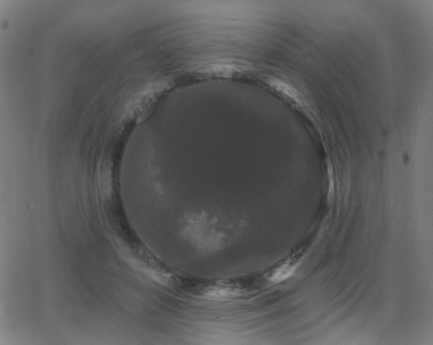X0000062860504200601131419