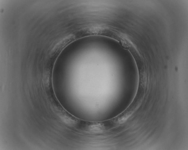 X0000062860505200601131419
