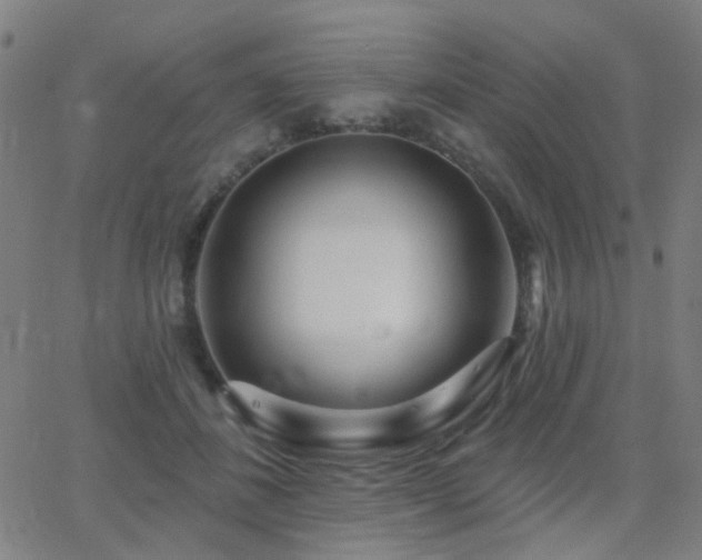 X0000062860508200601131419