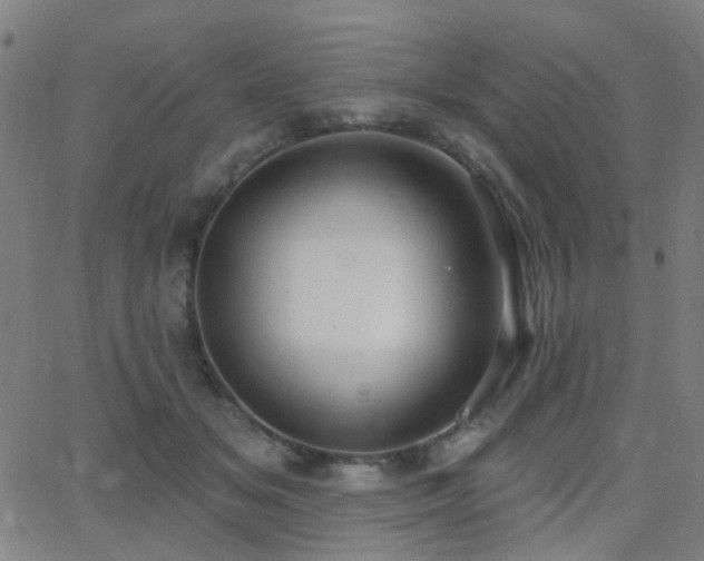 X0000062860509200601131419
