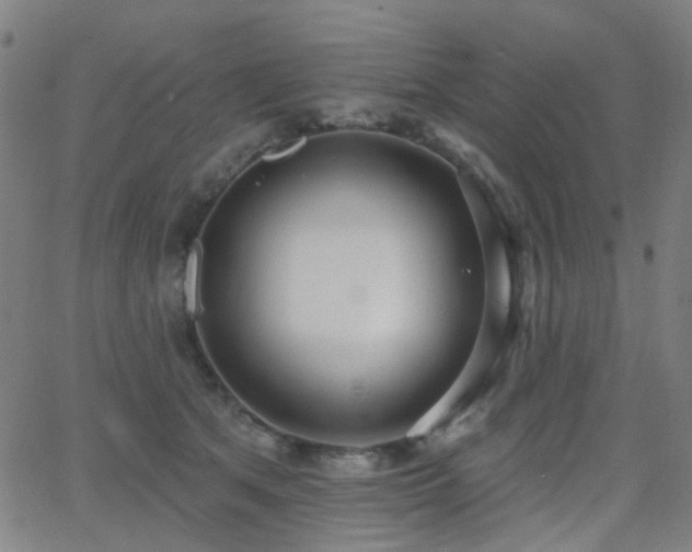 X0000062860513200601131419