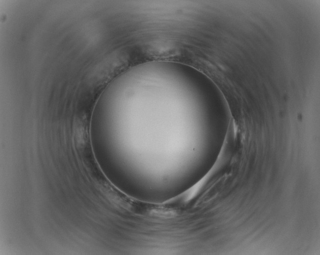 X0000062860515200601131419