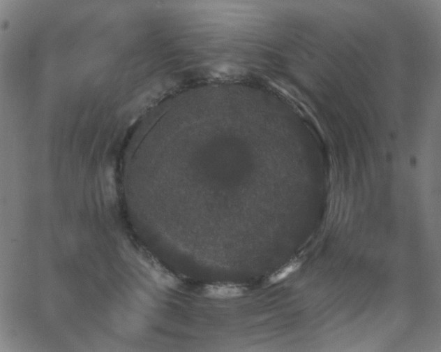 X0000062860520200601131419