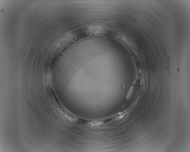 X0000062860526200601131419