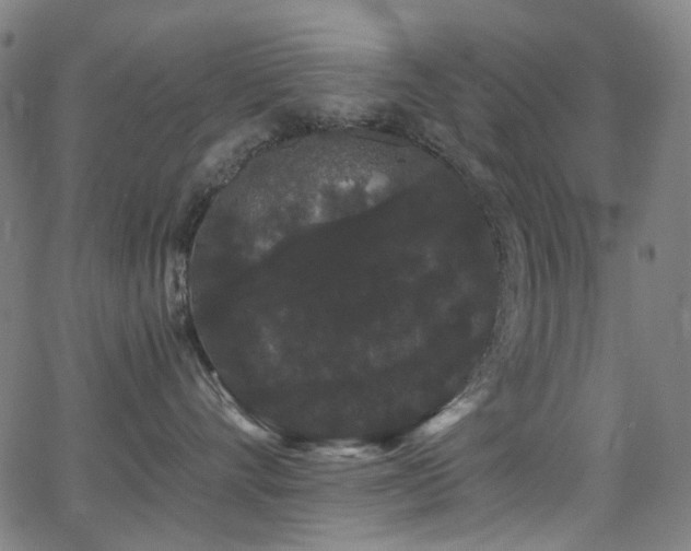 X0000062860528200601131419