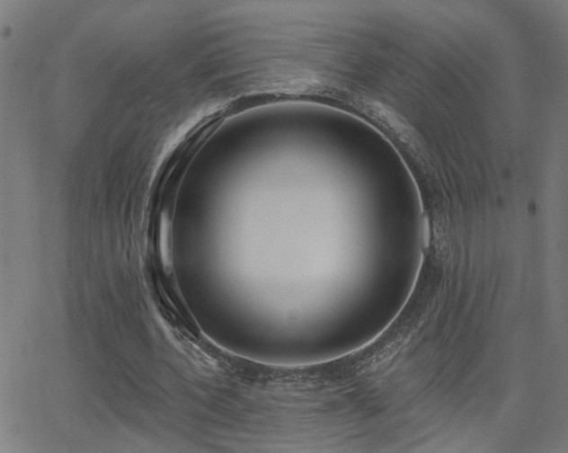 X0000062860532200601131418