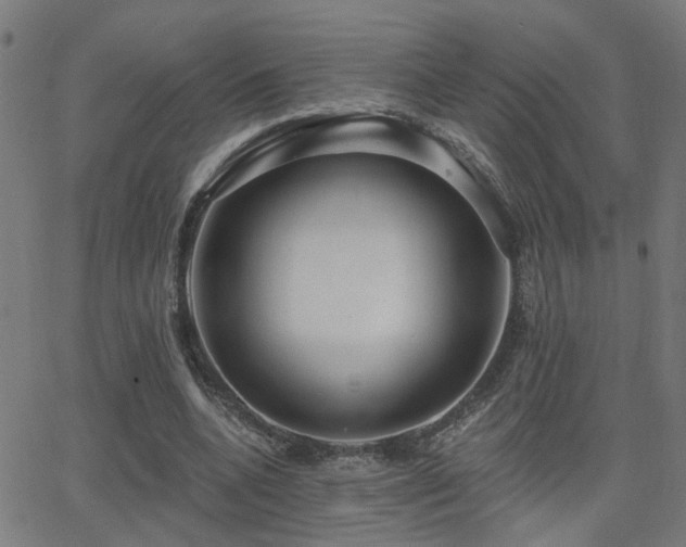 X0000062860536200601131418