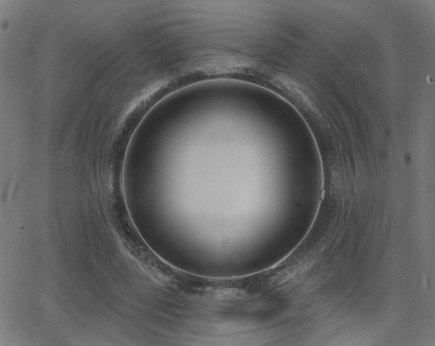 X0000062860539200601131418