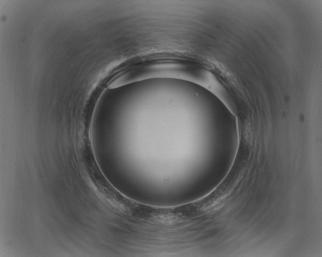 X0000062860540200601131418