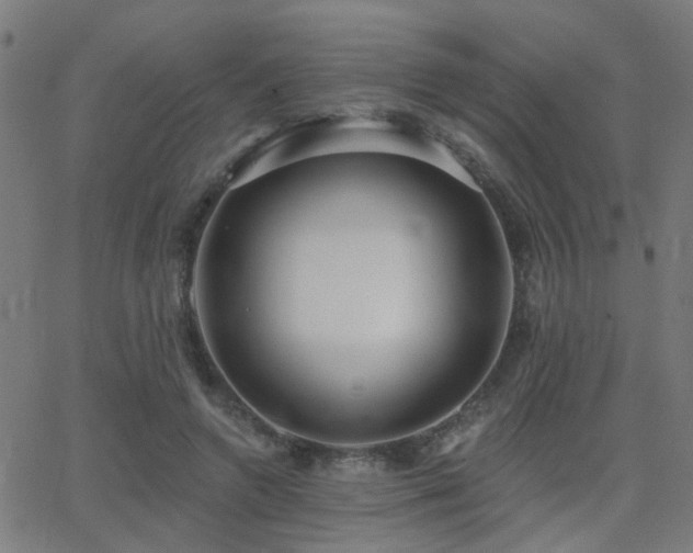 X0000062860546200601131418