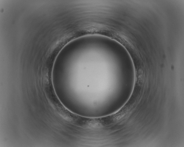 X0000062860547200601131418