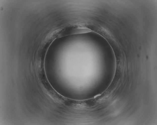 X0000062860548200601131418