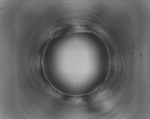 X0000062860554200601131418