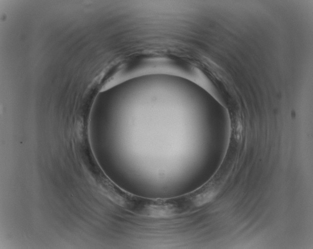 X0000062860556200601131418