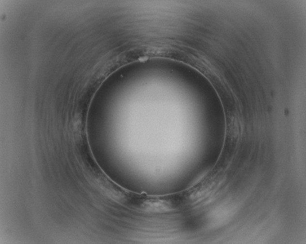 X0000062860557200601131418