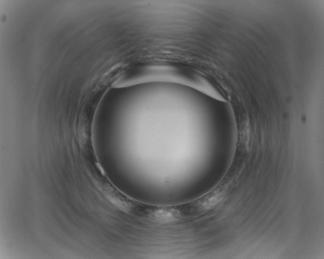 X0000062860566200601131418