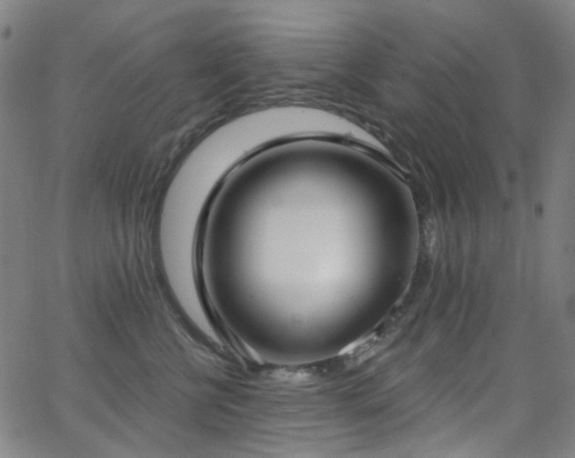 X0000062860570200601131418