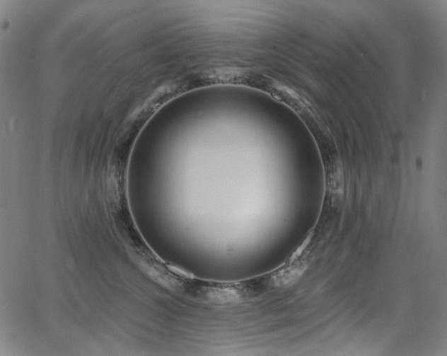 X0000062860572200601131418