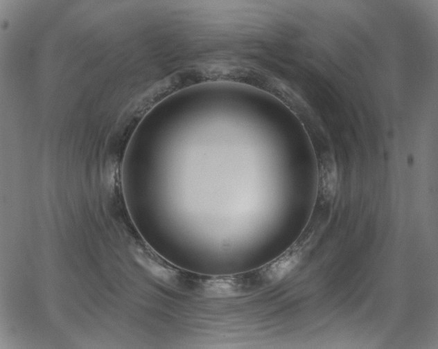 X0000062860574200601131419