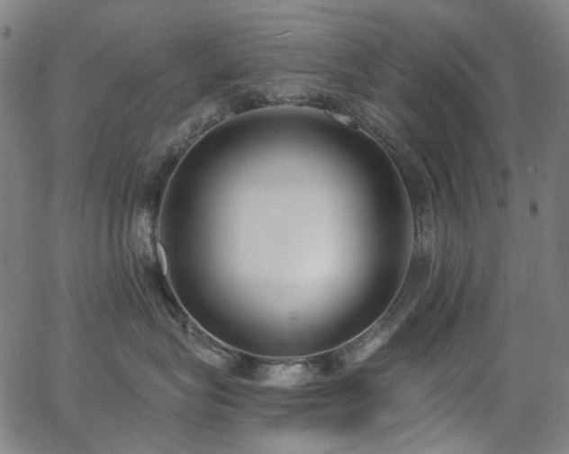 X0000062860575200601131419