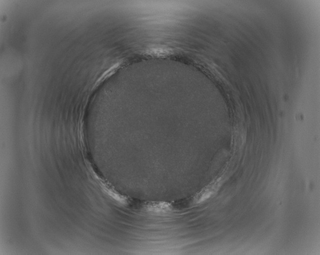 X0000062860576200601131419
