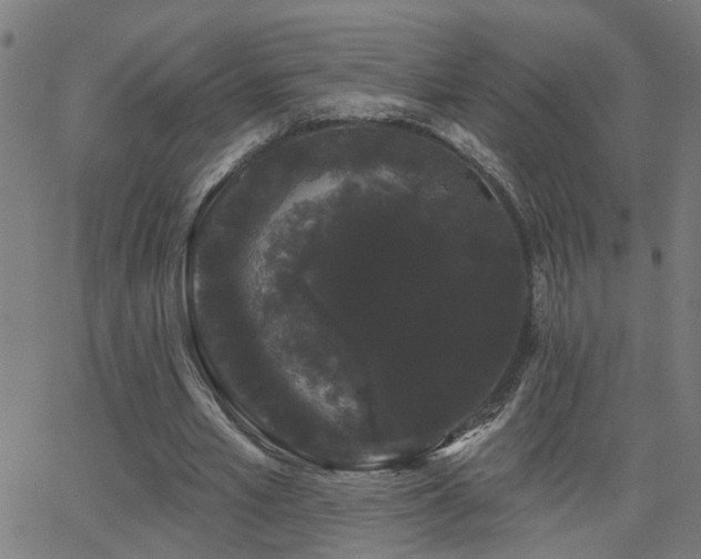 X0000062860581200601131418