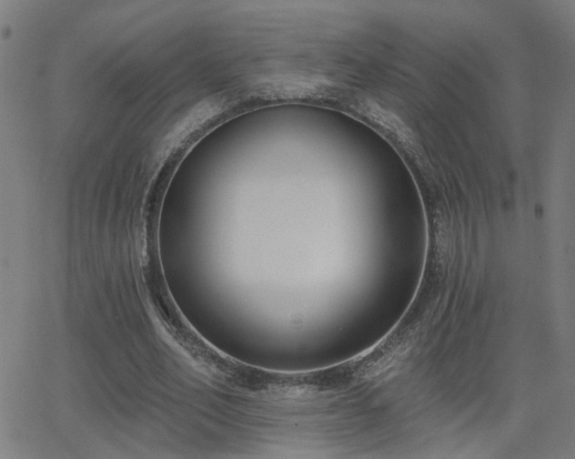 X0000062860582200601131418