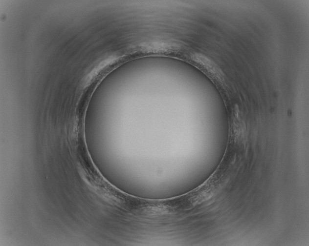 X0000062860583200601131418