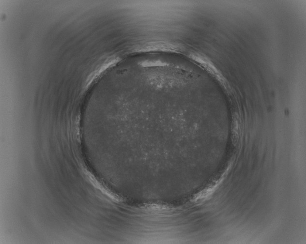 X0000062860585200601131418