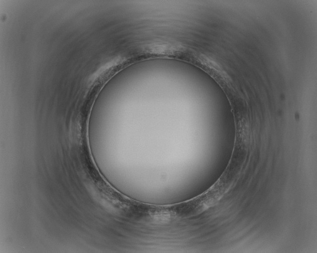 X0000062860587200601131418