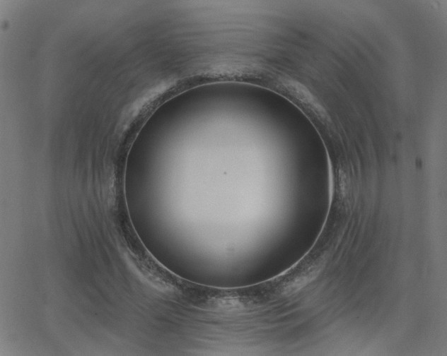 X0000062860588200601131418
