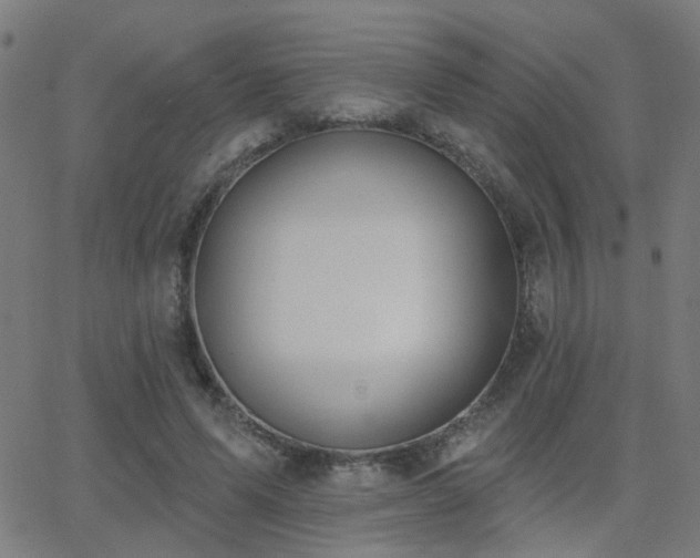 X0000062860591200601131418