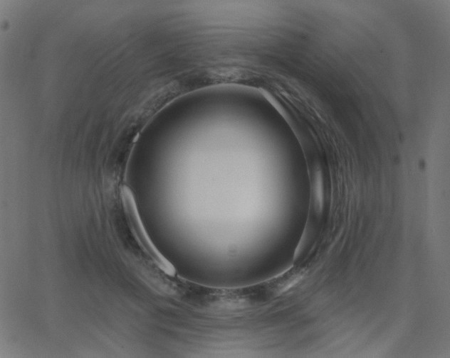X0000062860601200601131417