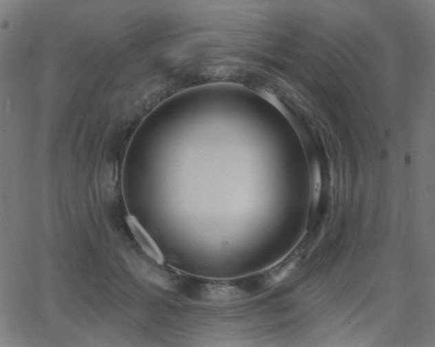X0000062860605200601131417