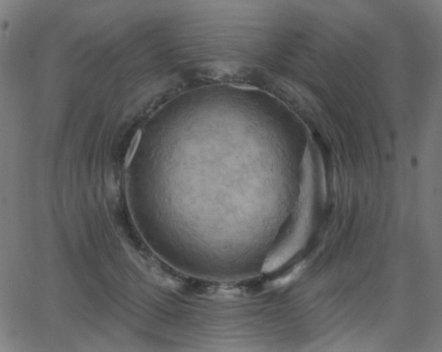 X0000062860607200601131417