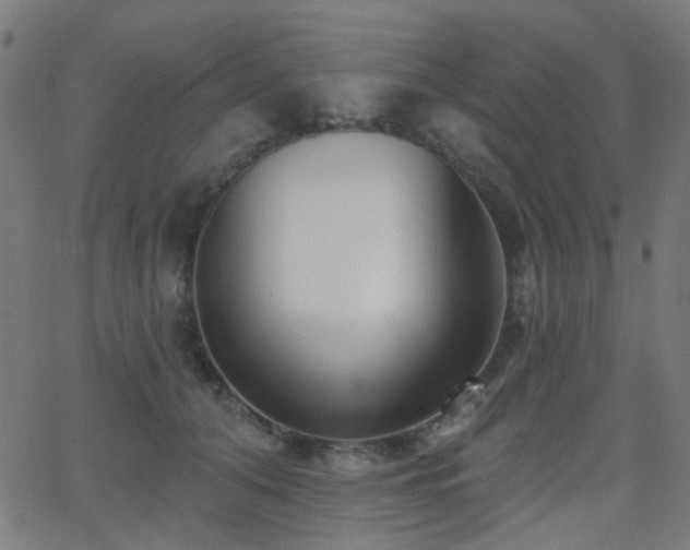 X0000062860608200601131417