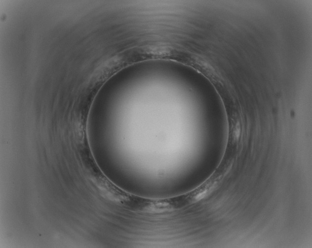 X0000062860609200601131417