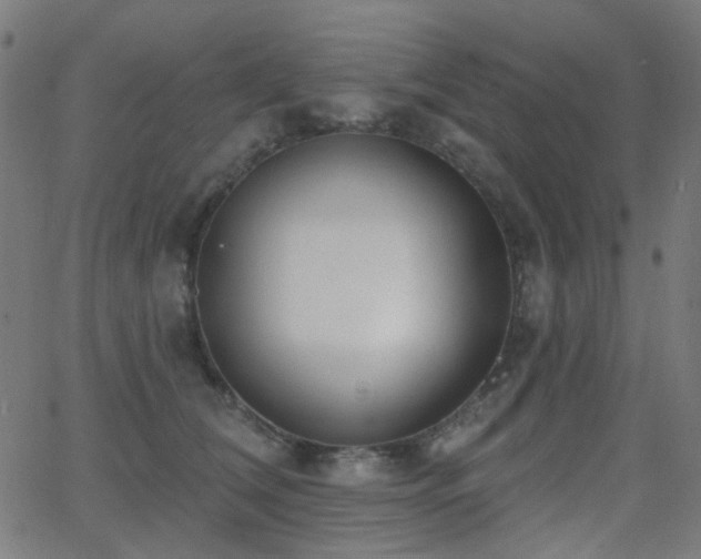 X0000062860612200601131417