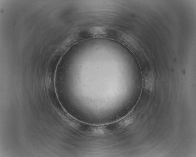X0000062860618200601131417