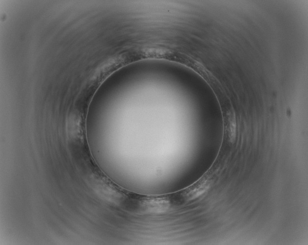 X0000062860619200601131417