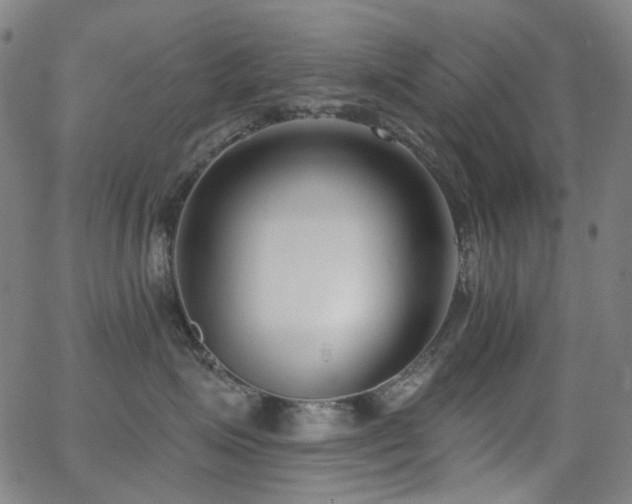 X0000062860623200601131417