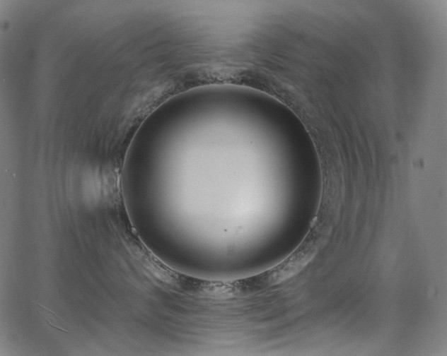 X0000062860624200601131417
