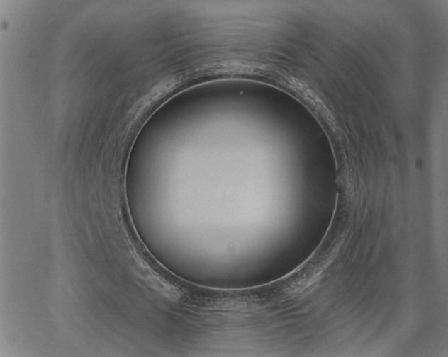 X0000062860625200601131416