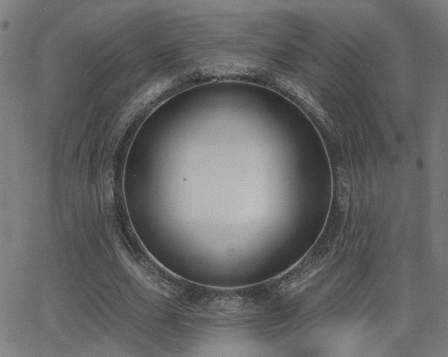 X0000062860631200601131416